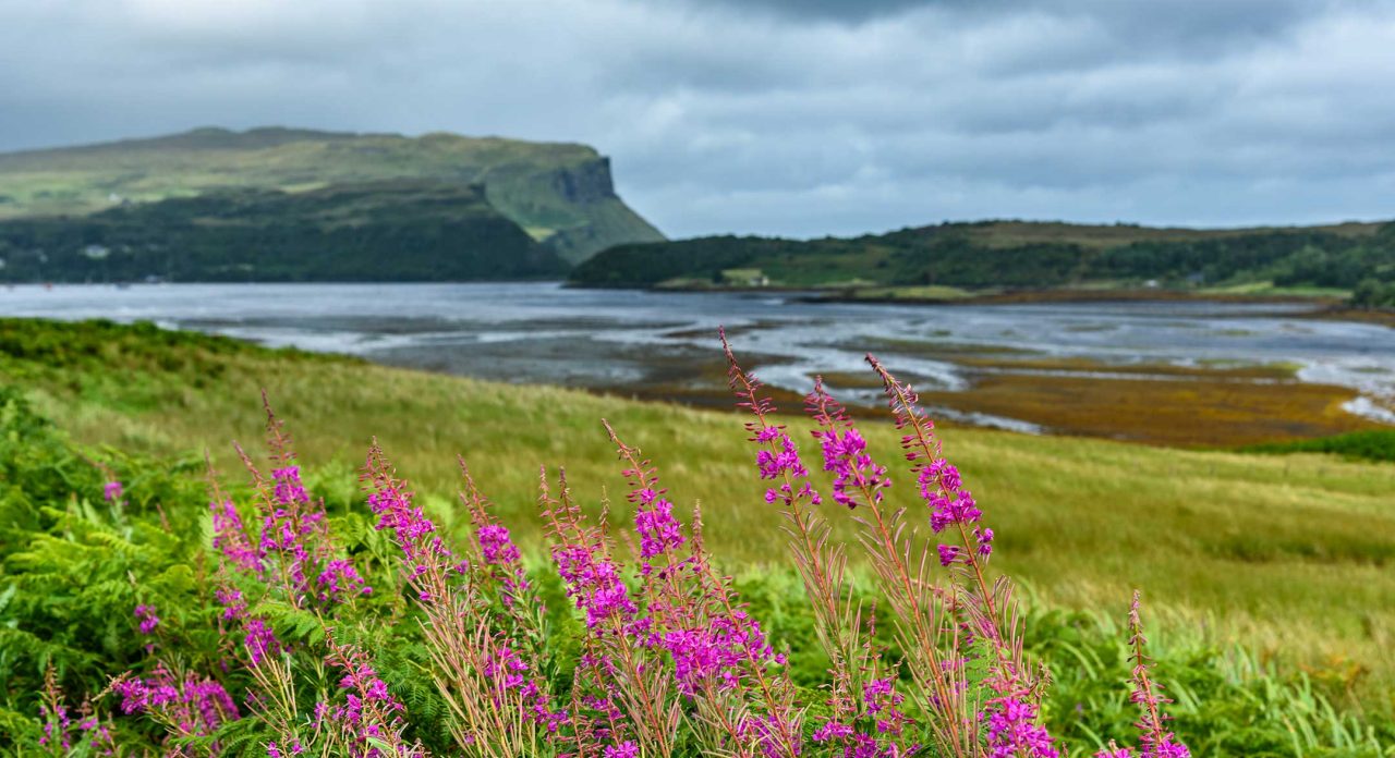 Countryside coastal scene.